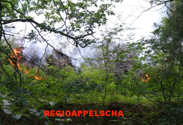 Regio Appelscha